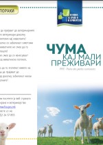 Чума кај мали преживари (МК)