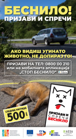 Беснило